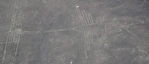 640px-Nazca_colibri